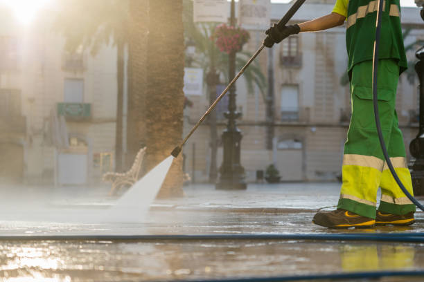 Best Roof Pressure Washing  in Sylvania, GA